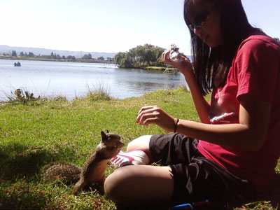 Friendly squirrel